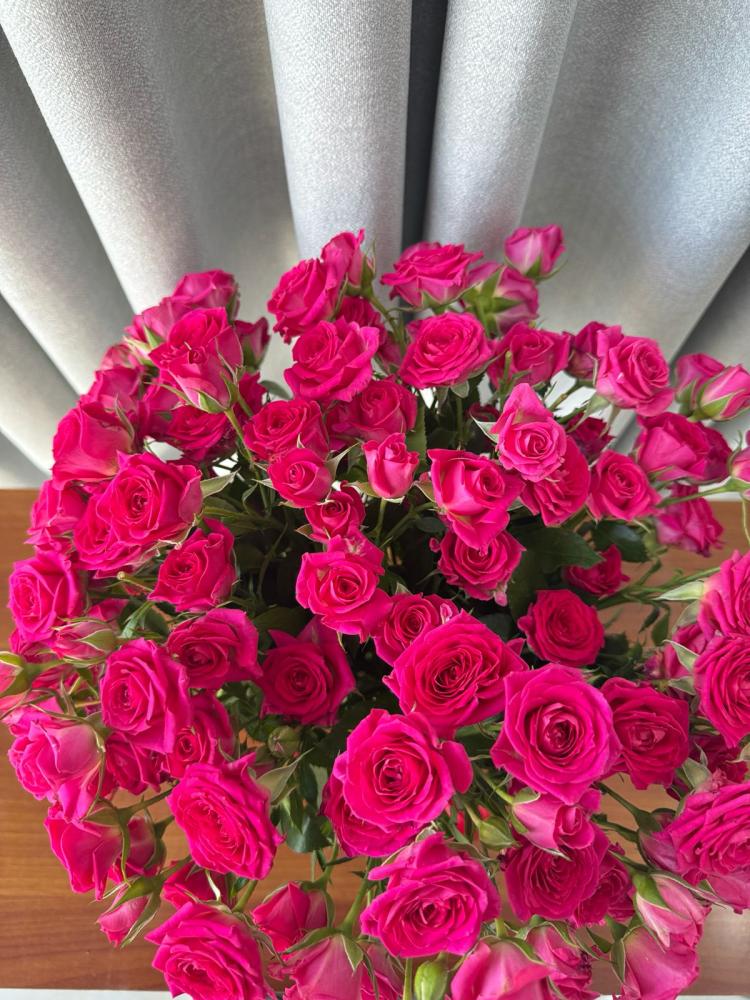 فازه فوشي
