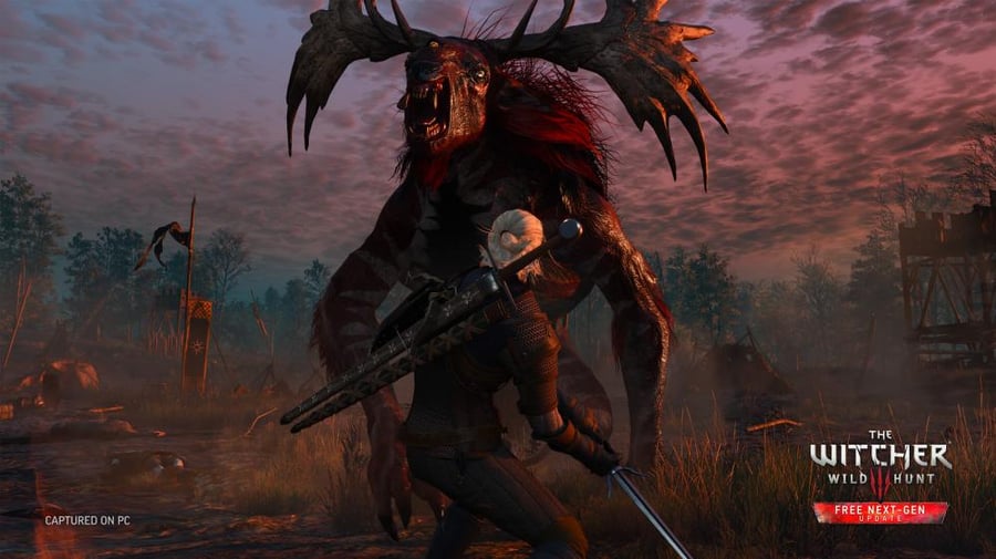 Witcher 3 Screenshot 5