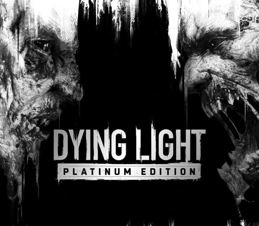 Dying Light cover