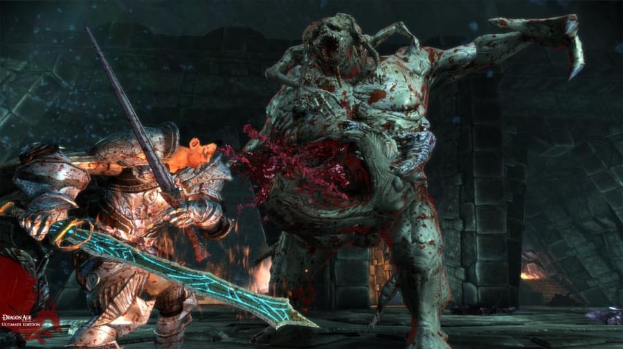 Dragon Age Origins Screenshot 2