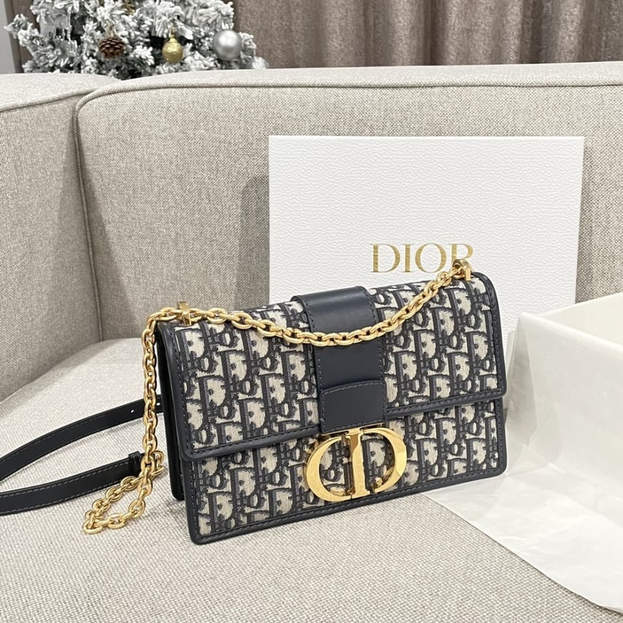 Dior 25*17*8cm