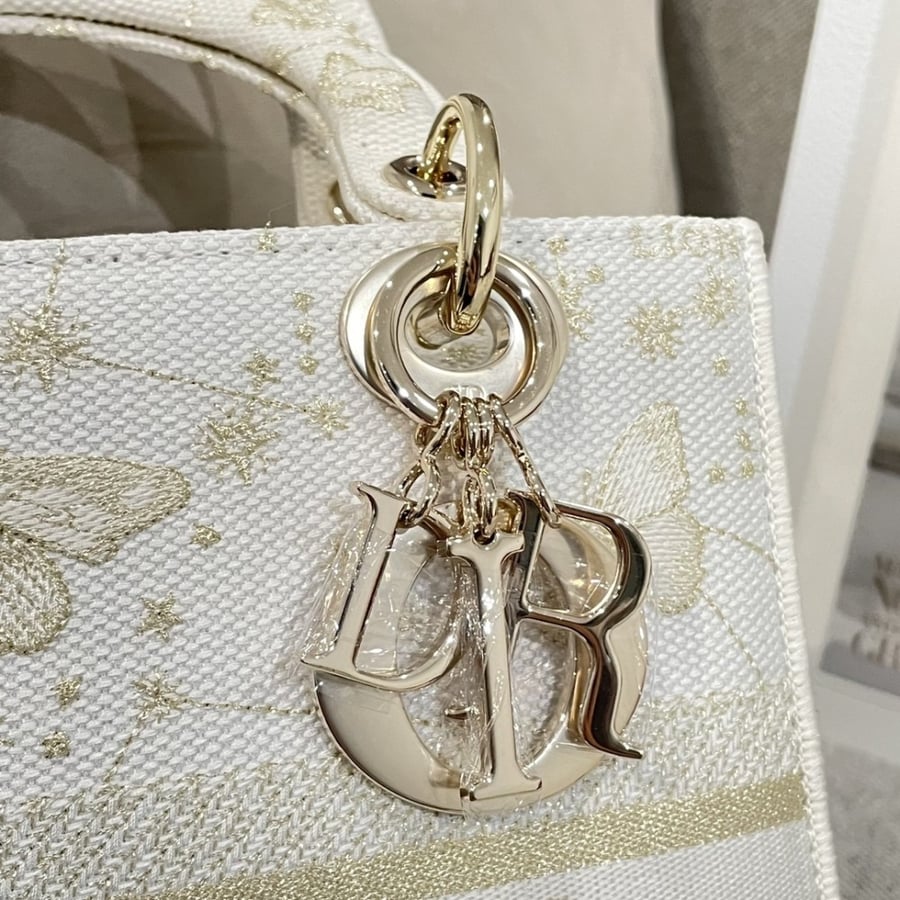 Dior 24*20*11
