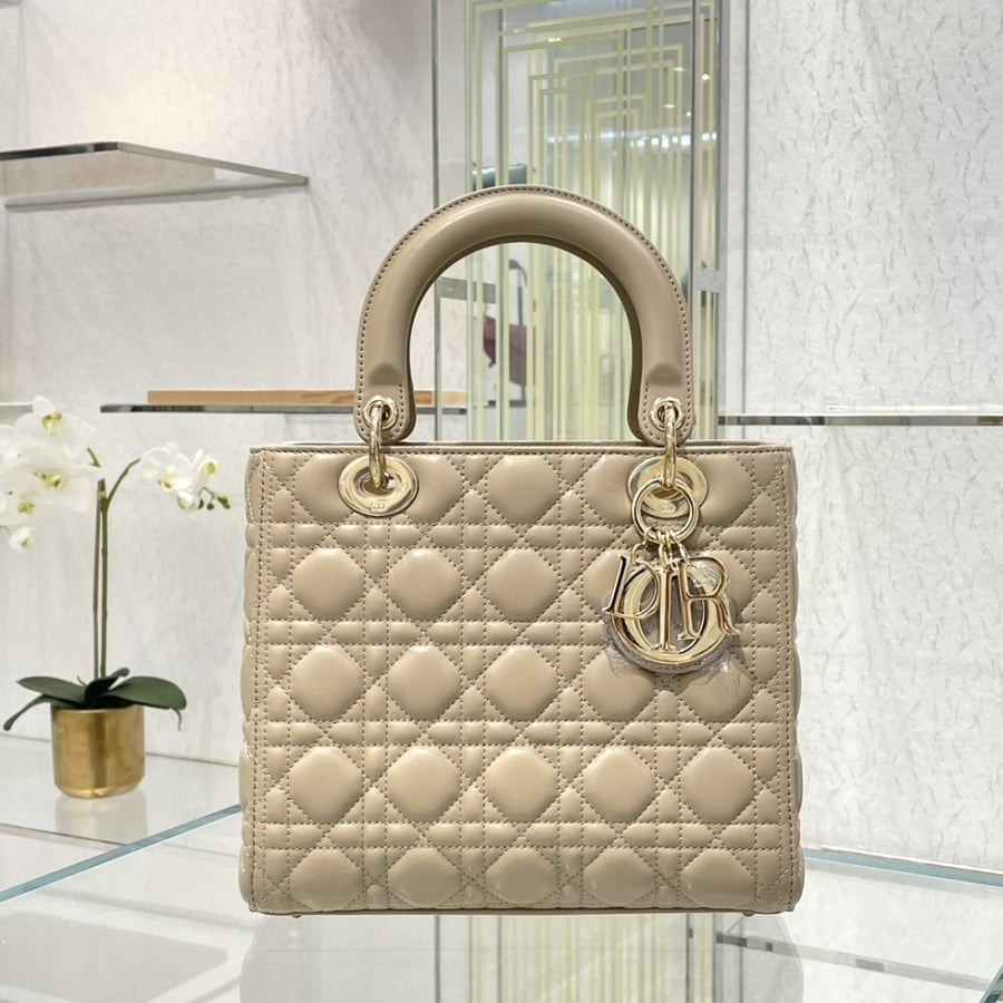 Dior 24*20*11