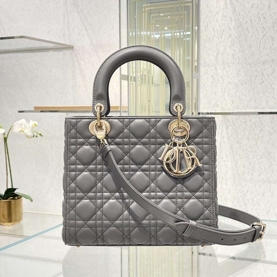 Dior 24*20*11