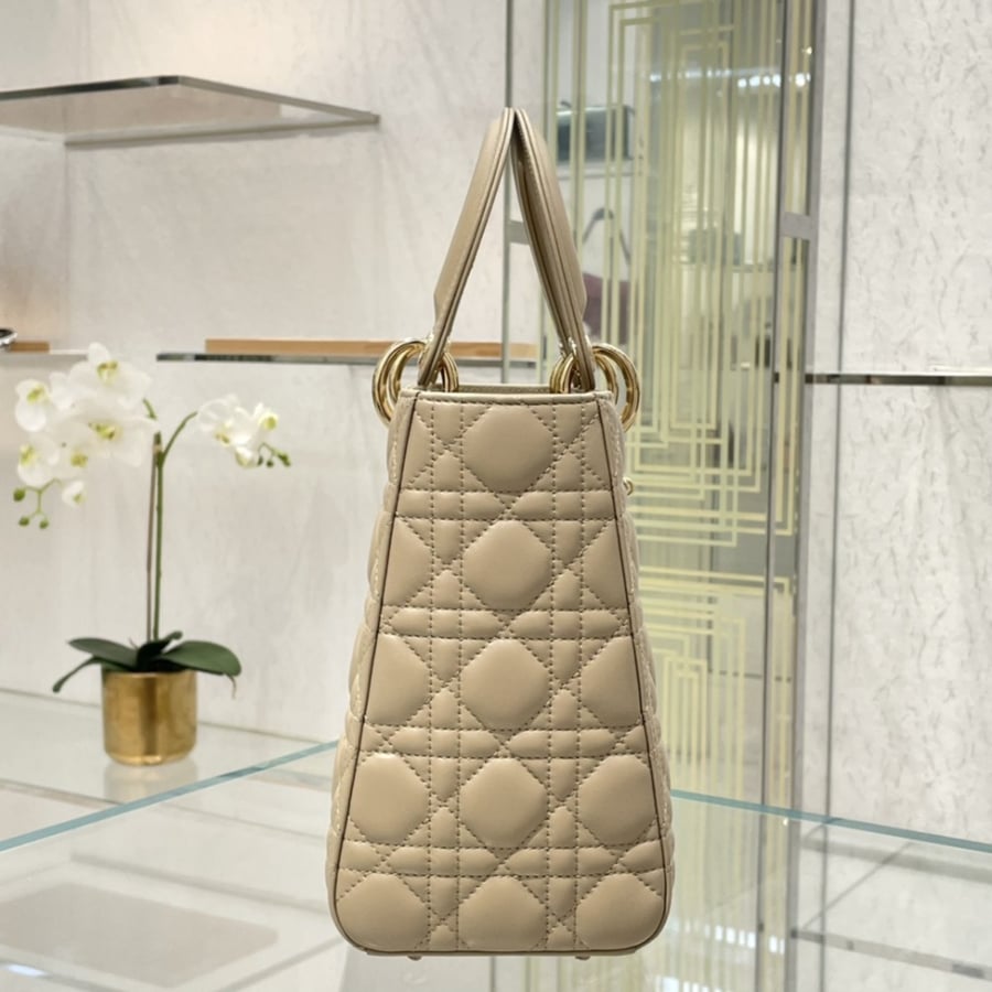 Dior 24*20*11