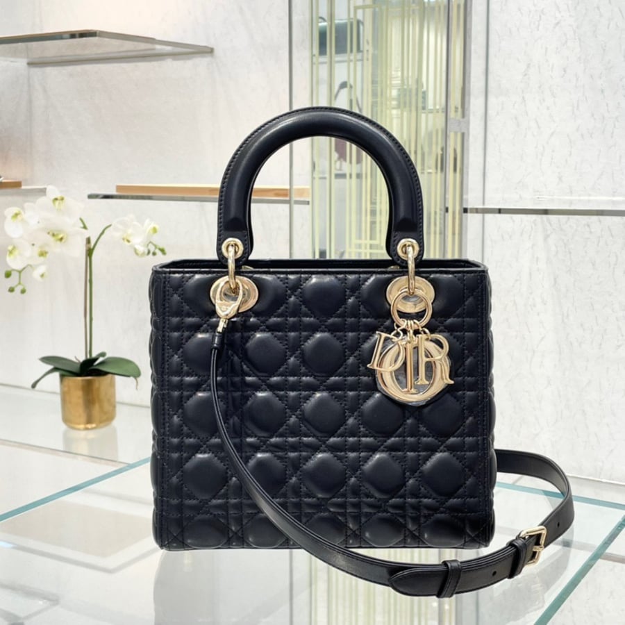 Dior 24*20*11