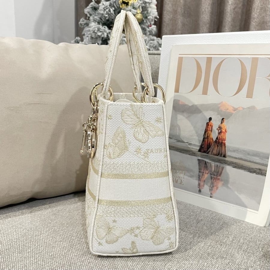 Dior 24*20*11