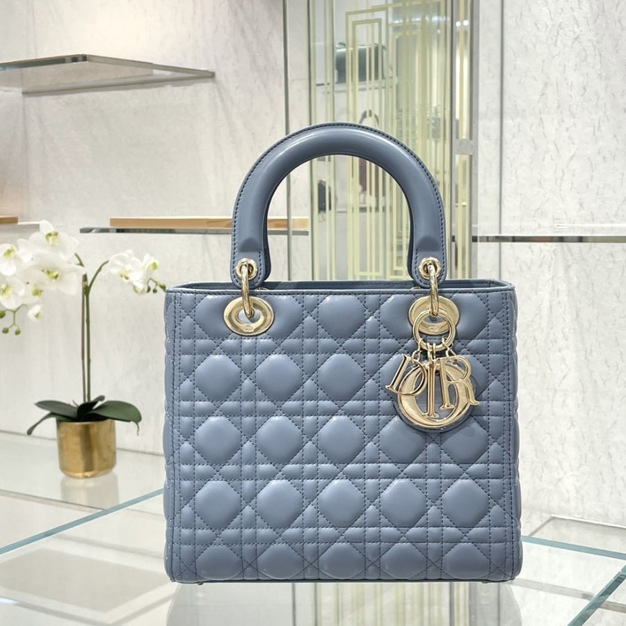 Dior 24*20*11