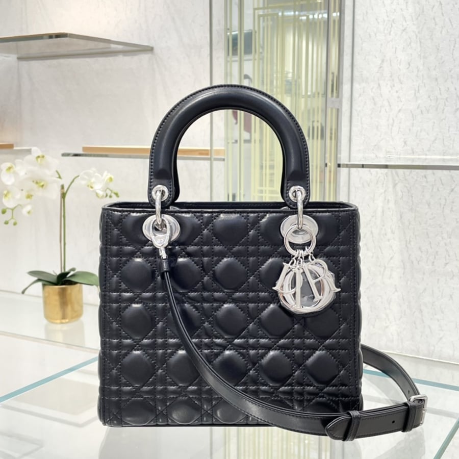 Dior 24*20*11