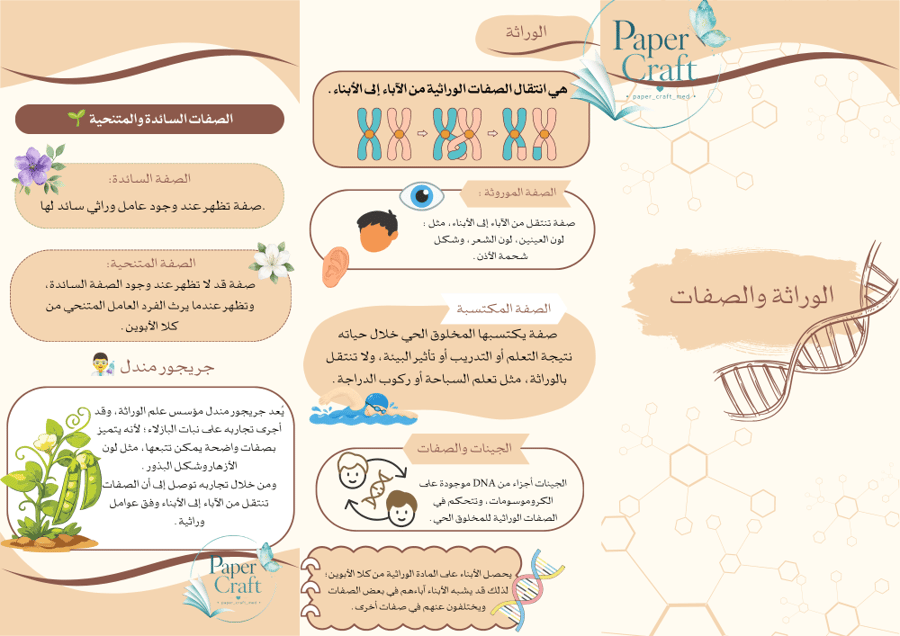مطوية مادة العلوم صف سادس الفصل الثاني الخلية والوراثة الدرس الثاني الوراثة والصفات