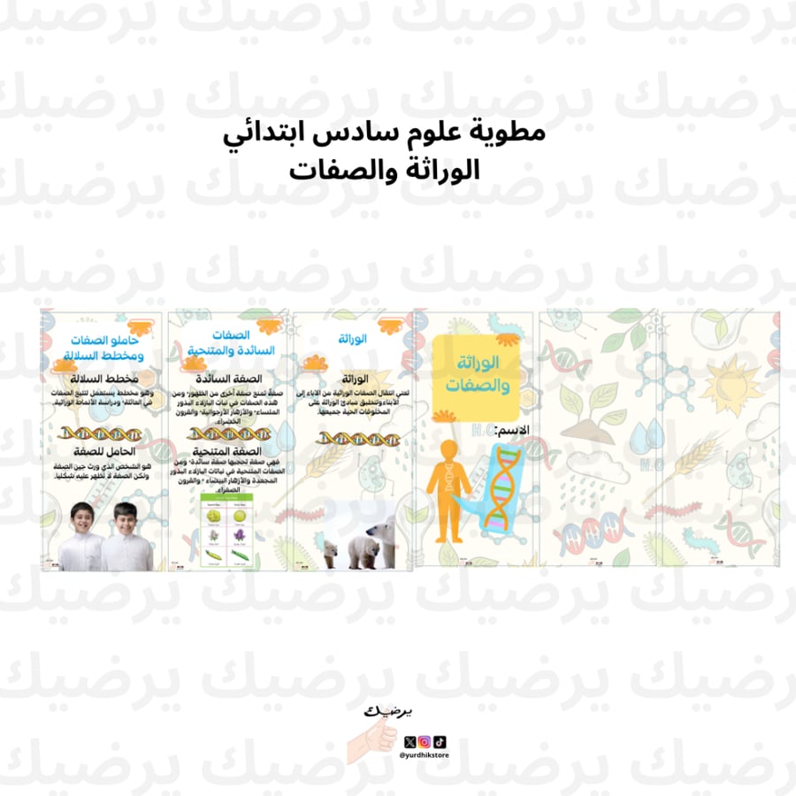 مطوية الوراثة والصفات مادة علوم صف سادس ابتدائي