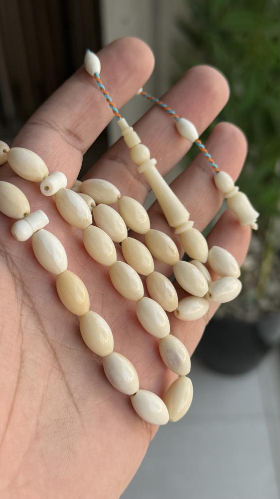 مسباح عظم نعامة طبيعي