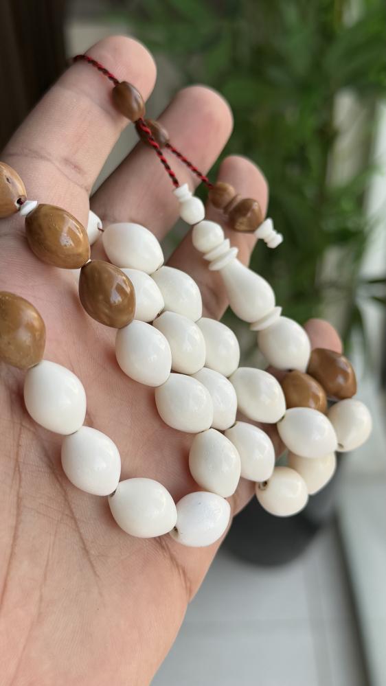 مسباح عظم مع كوك طبيعي