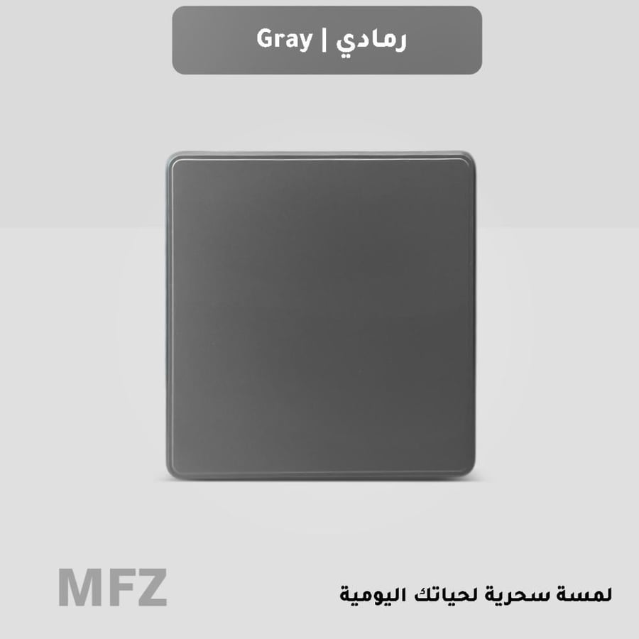 مفتاح مفرد رمادي