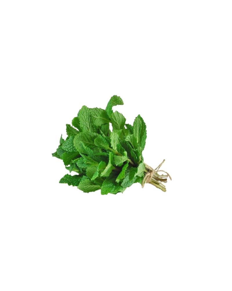 نعناع او حبق عضوي