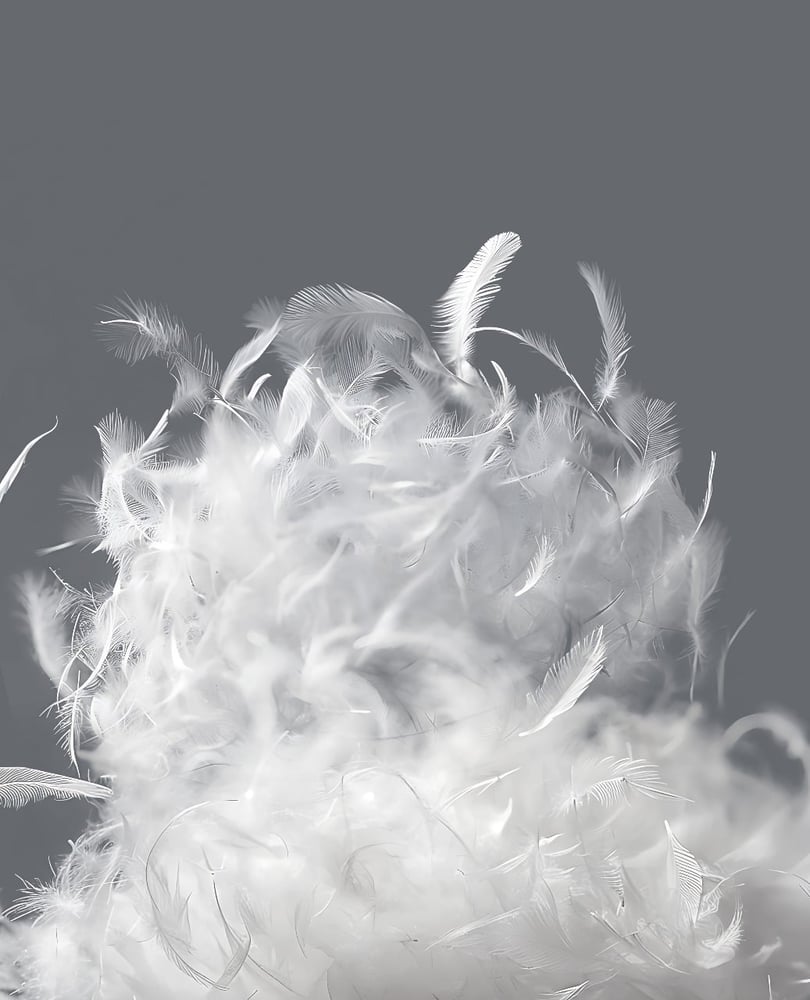 Natural feather pillow