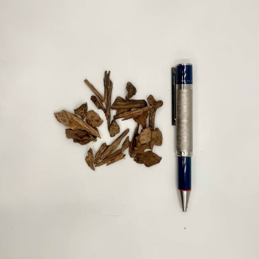 دقة العود الفلبيني