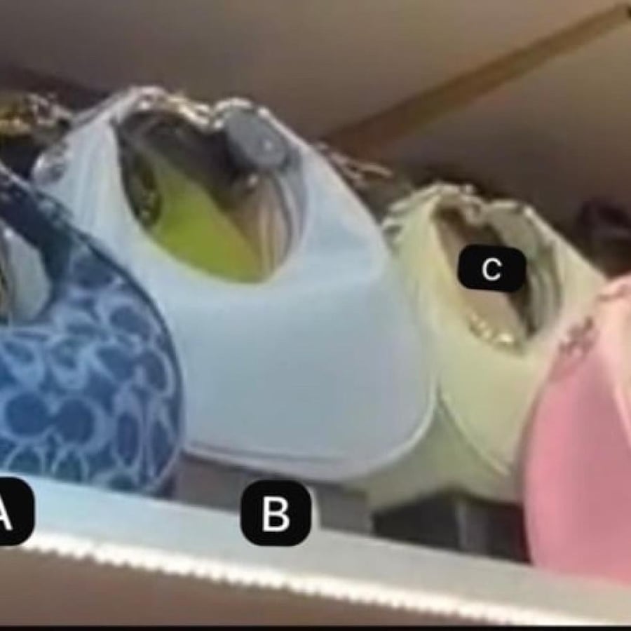 شنطه كوتش