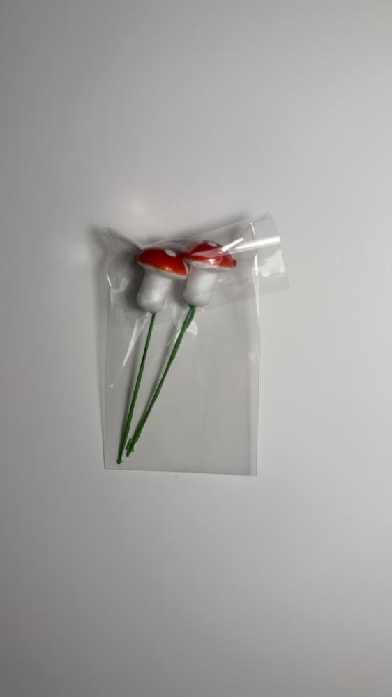 تغريسة فطر
