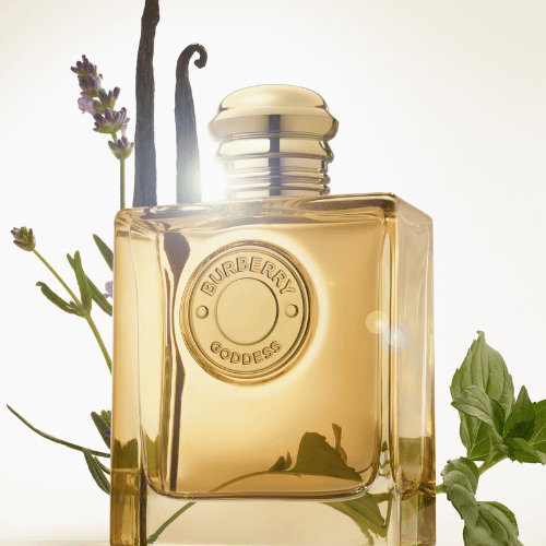 عطر بربري جوديس النسائي او دو بارفيوم انتنس 100مل