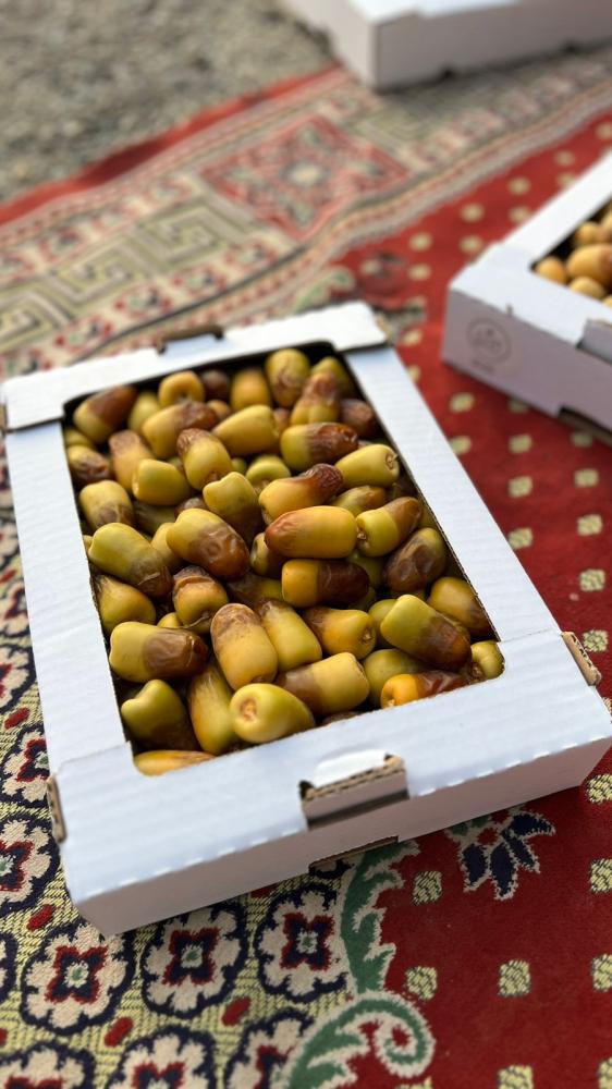 برني العيص ( رطب )