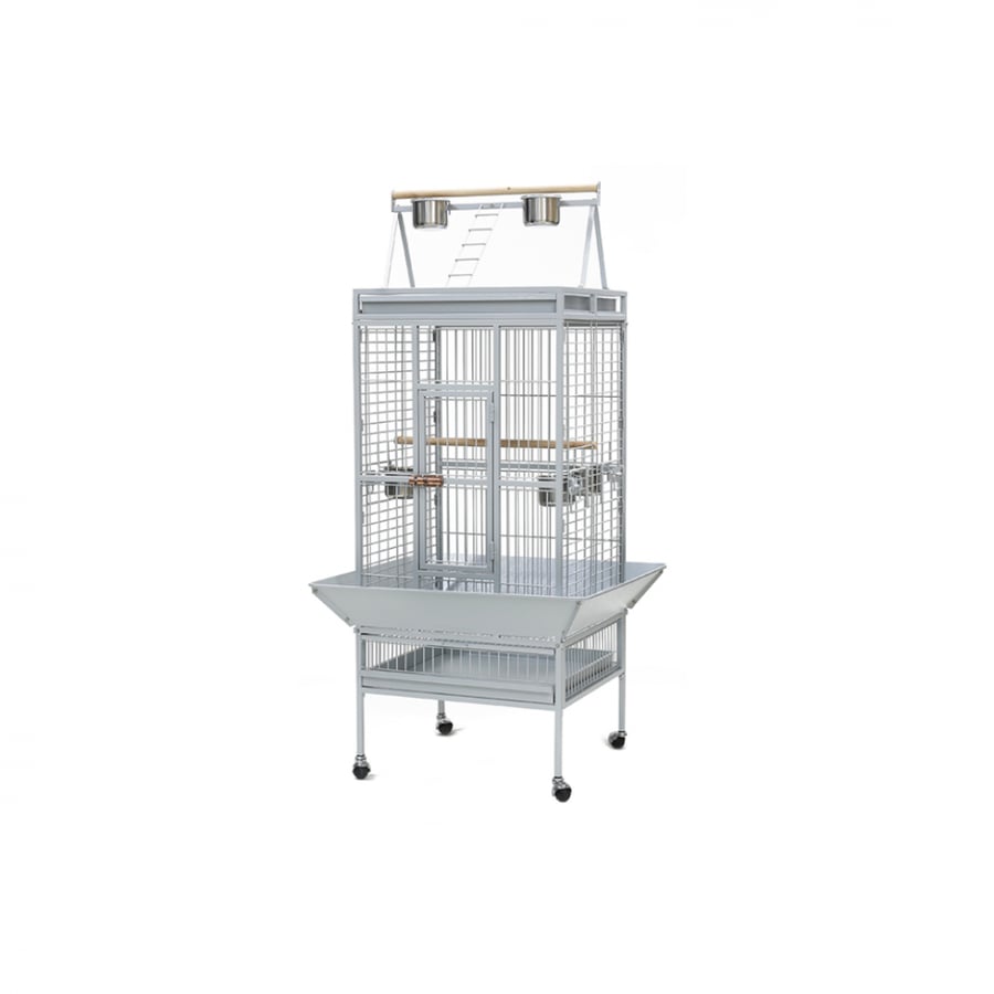 Dayang | Bird Cage A18