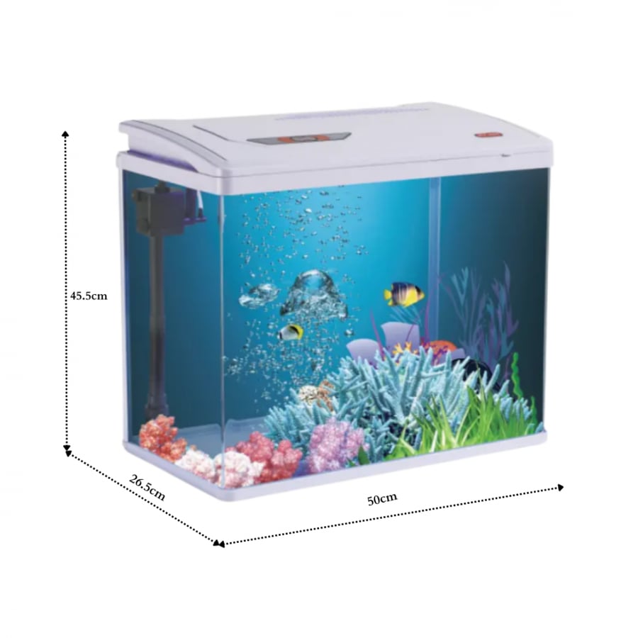 Fish Aquarium