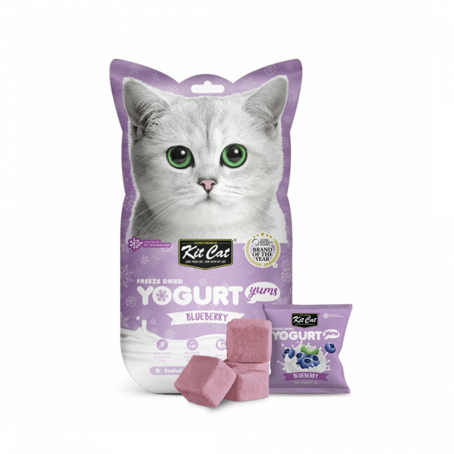 Kit Cat | Freeze Dried Yogurt Yums Blueberry