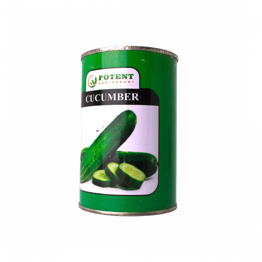 بذور الخيار