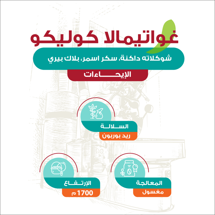 غواتيمالا كوليكو - مقطرة