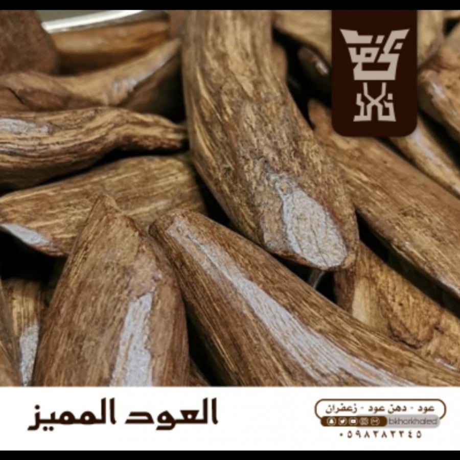 The distinguished Moroccan oud natural enhanced