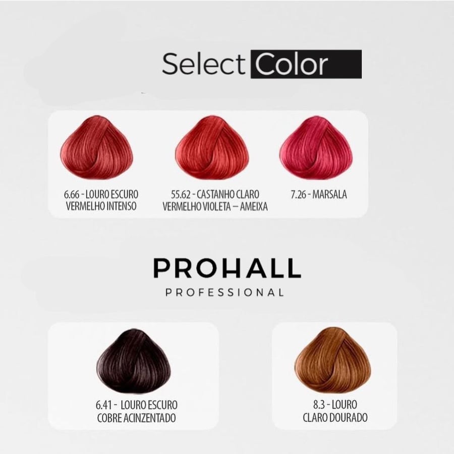 صبغة الشعر  Select Color Prohall البرازيليه لون أزرق أسود رقم 2.1 حجم 50 مل