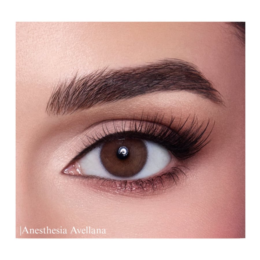 انستيزيا عدسات لاصقة يومية - افيلانا (Avellana)