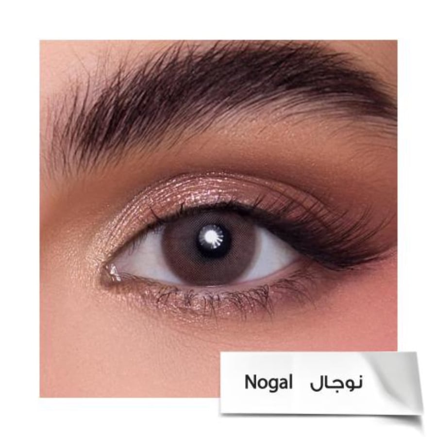 عدسات انستازيا اللاصقة اليومية الملونة -نوجال (Nogal)