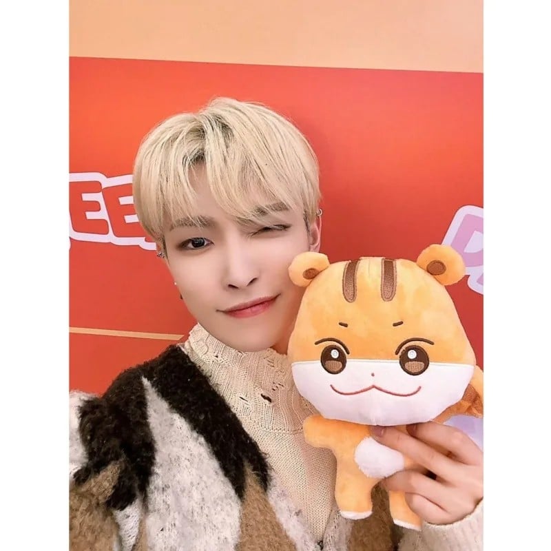 دمى ateez