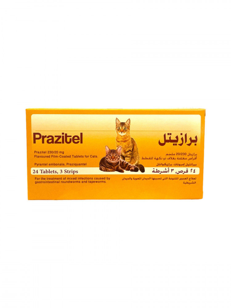 برازيتل -حبة واحدة فقط- لديدان للقطط