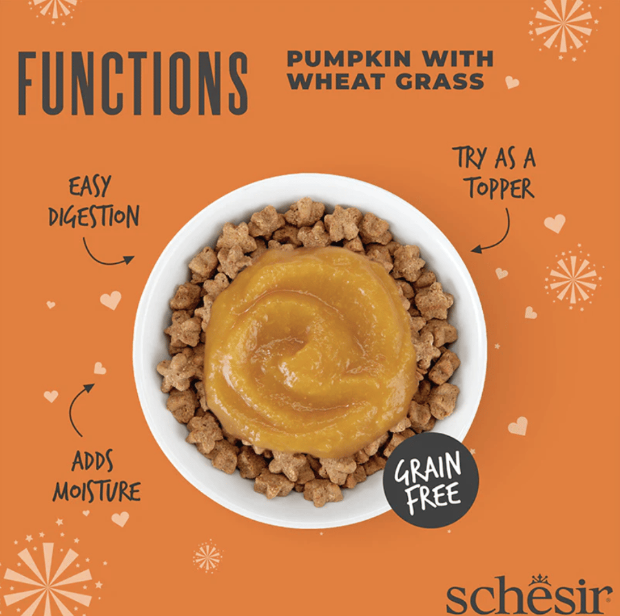 PUMPKIN WITH WHEAT GRASS IN PUREE 40G IN POUCH