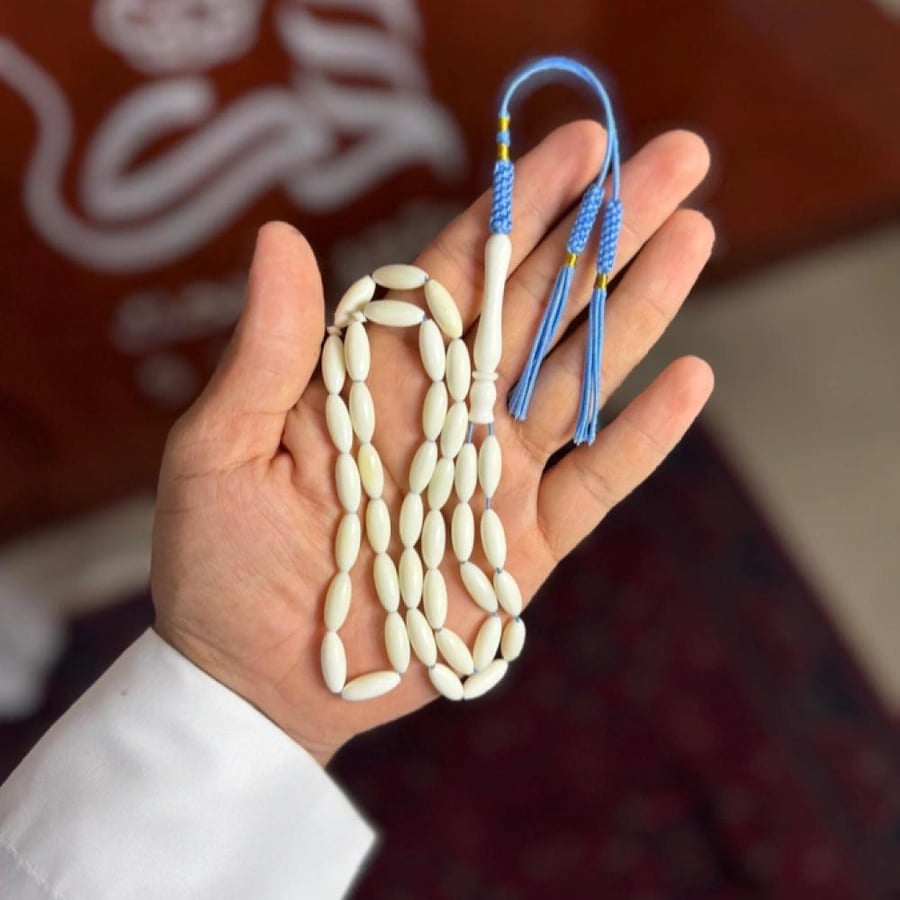 عظم جمل-كركوشة