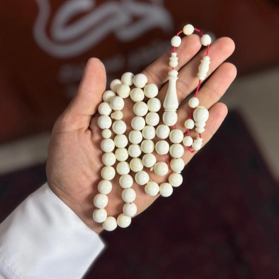عظم جمل-تمليكة
