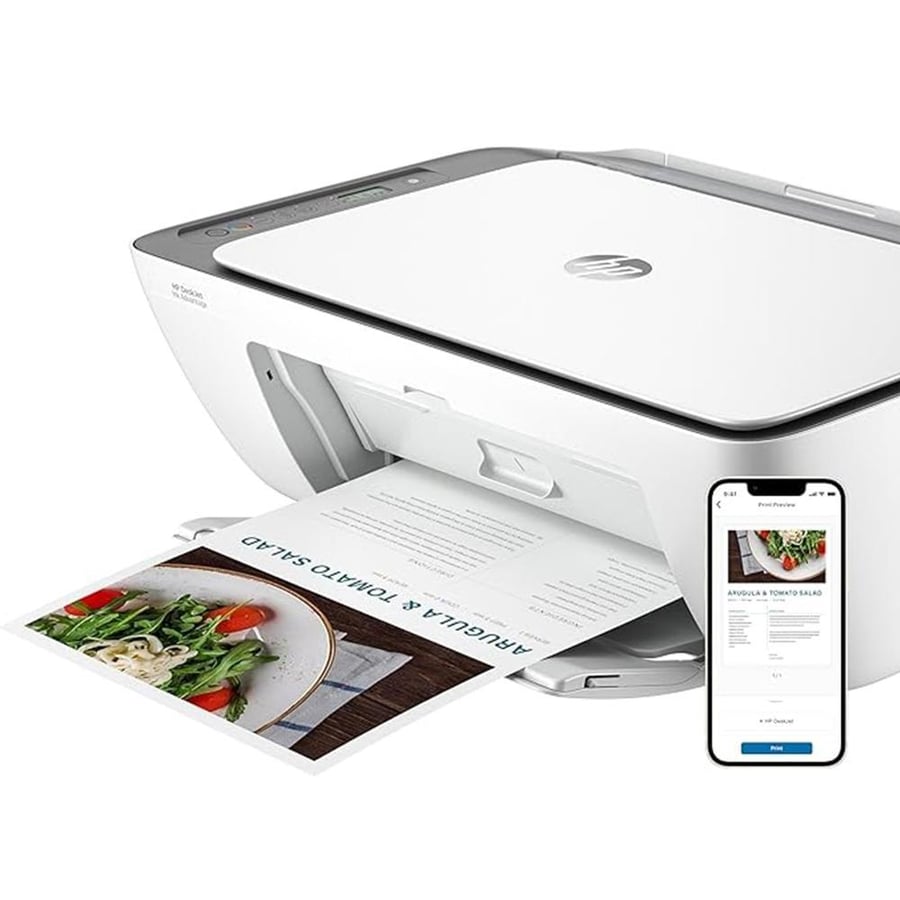 طابعة HP ديسك جيت انك ادفانتدج 2876 (6W7E6C)