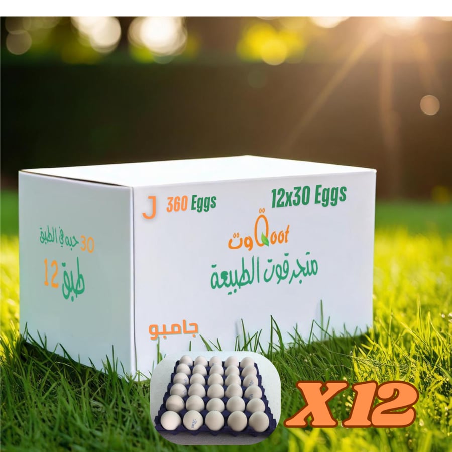 كرتون بيض جامبو الحجم مثالي للوجبات الكبيرة