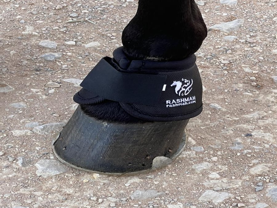 حذاء الحماية (بوت)  Bell Boot