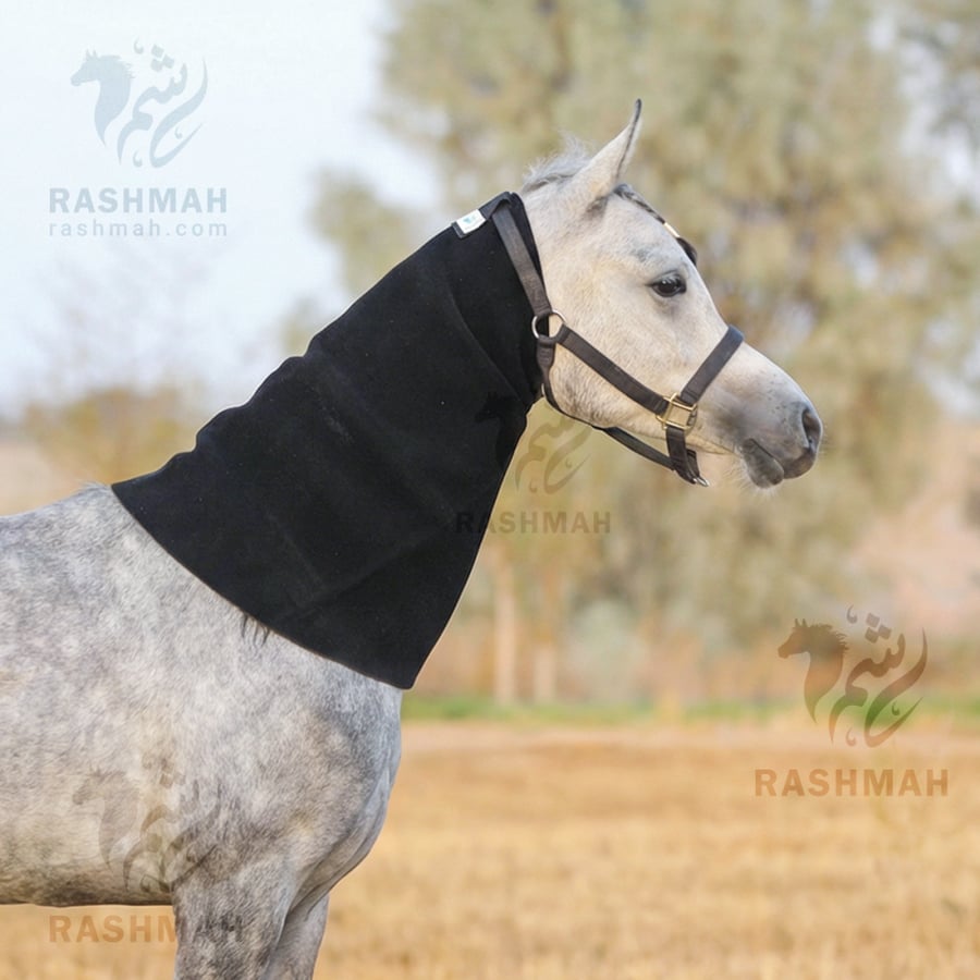 عراقة رقبة  احترافية لتنحيف الرقبة Black Neck Sweat