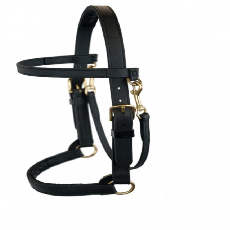 رشمة تدريب أمريكية  أحترافية عاديةTraining Halter  ( غير مدببة )