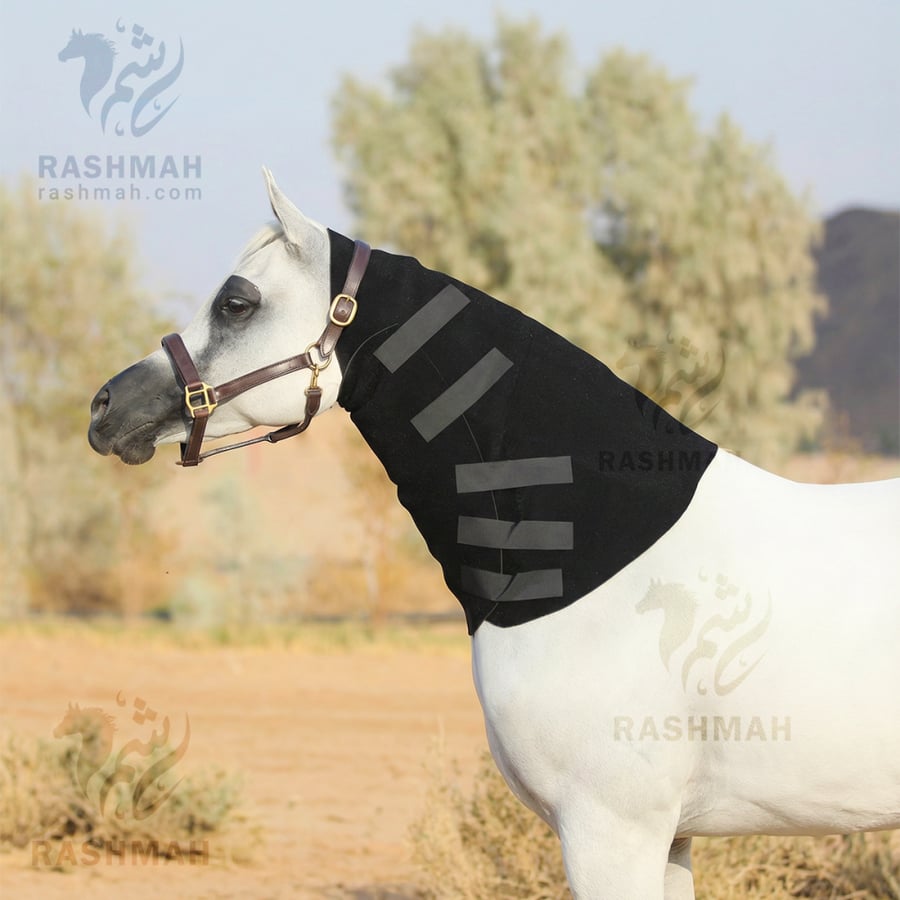 عراقة رقبة  احترافية لتنحيف الرقبة Black Neck Sweat