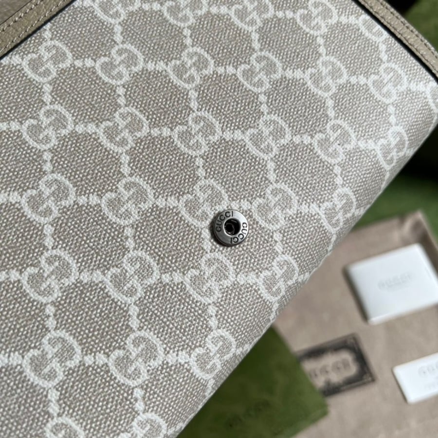 Gucci bag