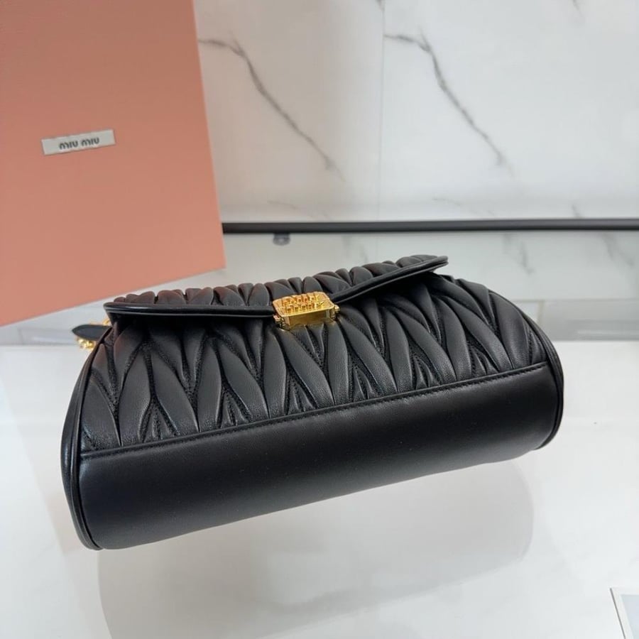 Miu Miu bag