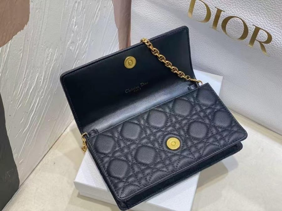 حقيبة ديور