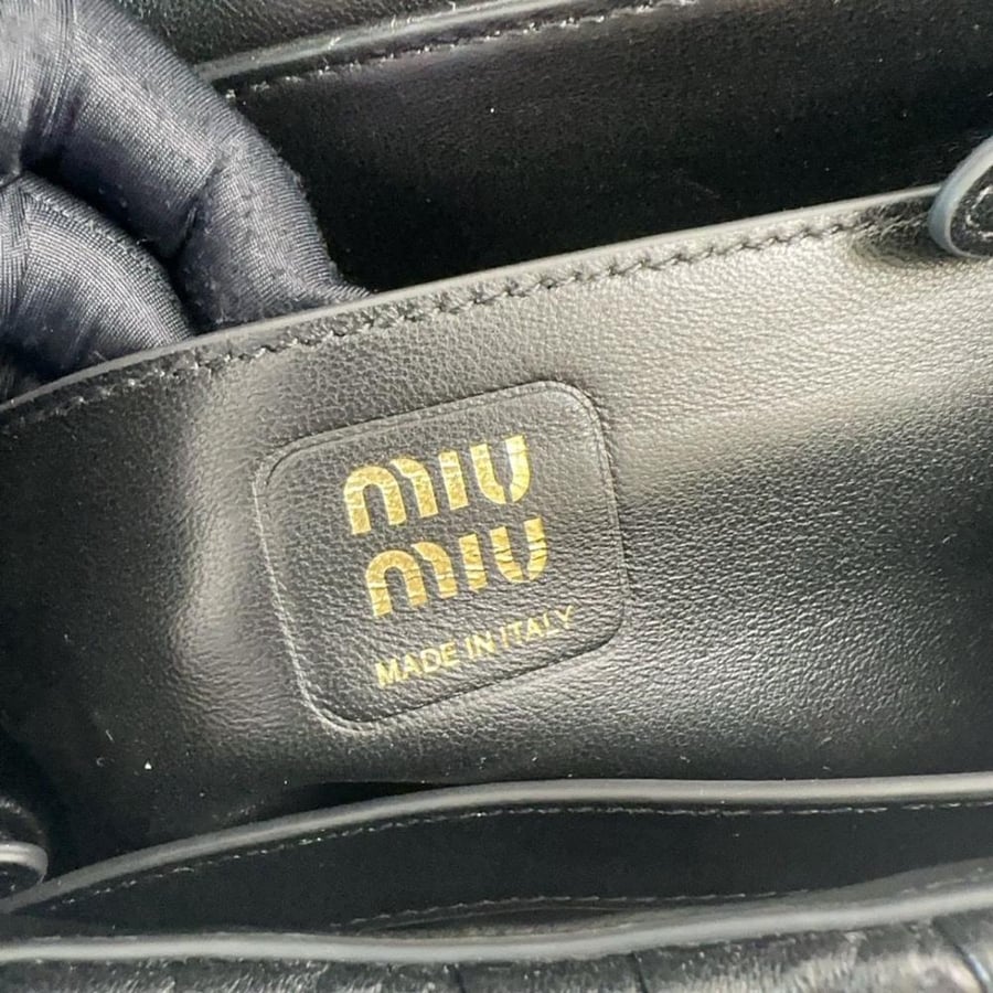 Miu Miu bag