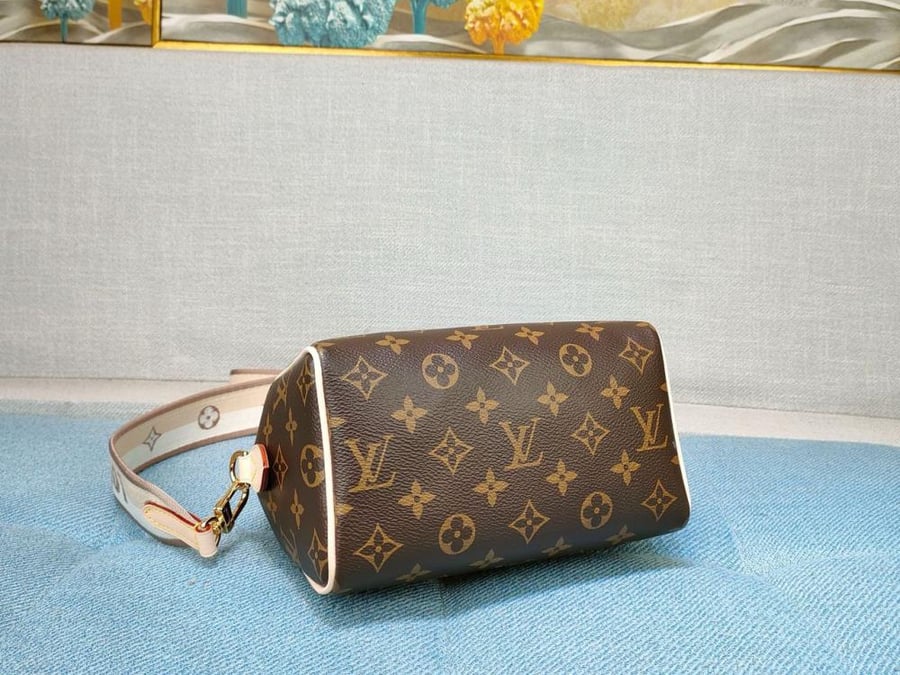 حقيبة لويس فيتون speedy